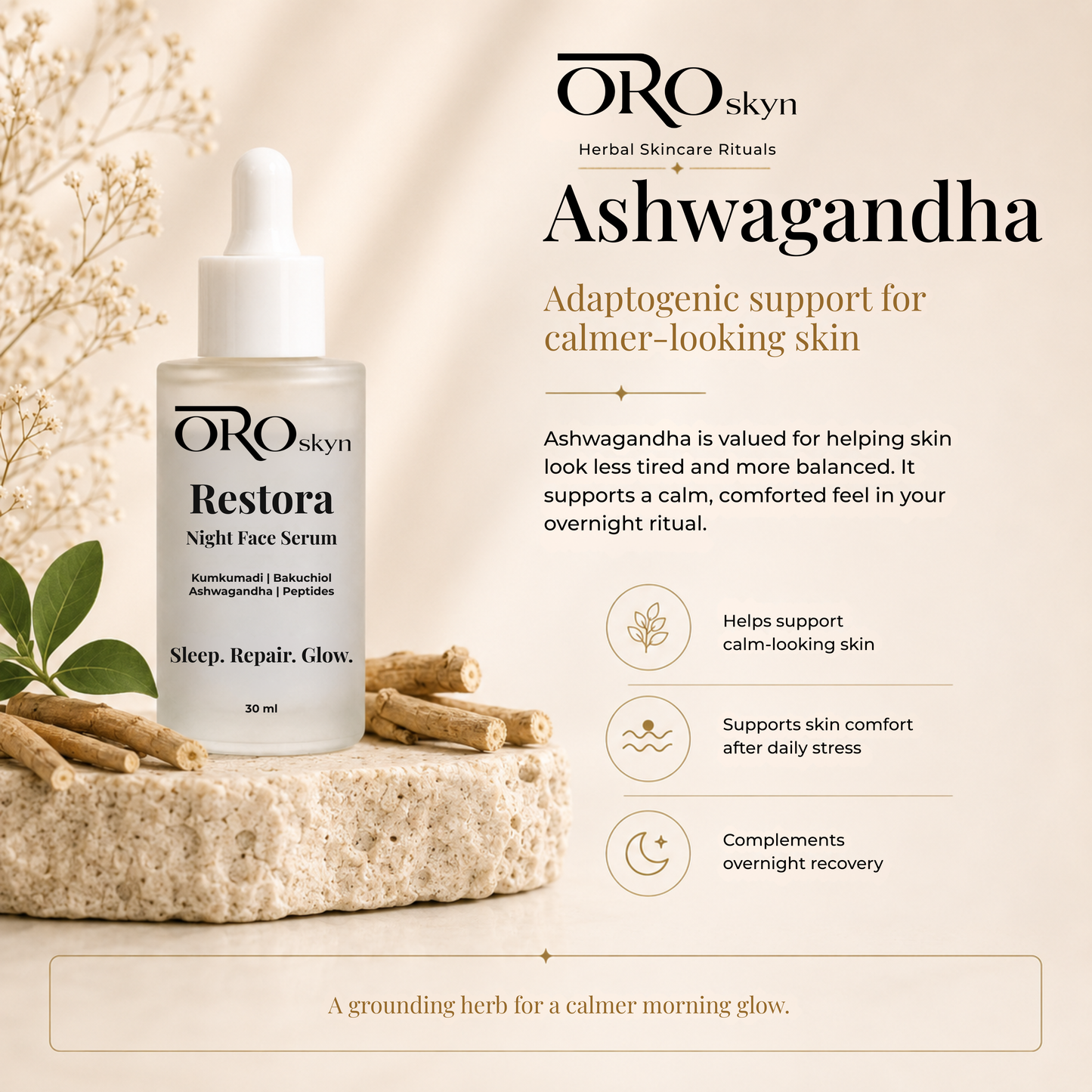 Restora Night Repair Serum
