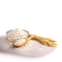 Rice Ferment