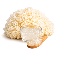 Tremella HA